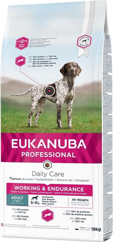 Dog Daily Care Adult Working & Endurance