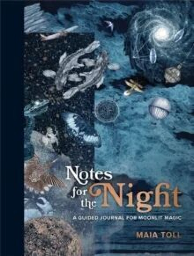 Notes for the Night av Maia Toll