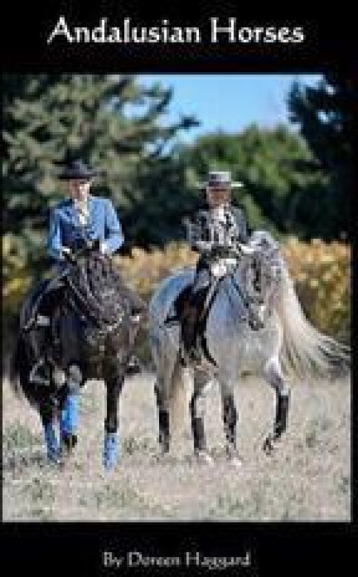 Andalusian Horses