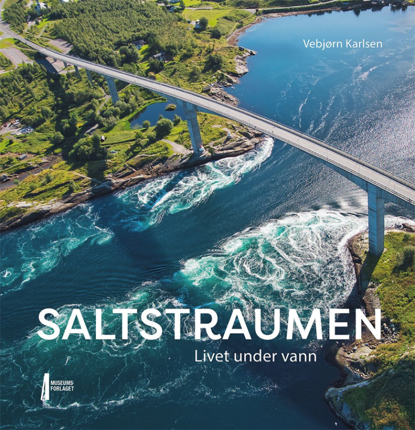 Saltstraumen livet under vann
