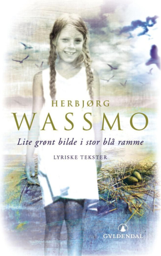 Lite grønt bilde i stor blå ramme av Herbjørg Wassmo