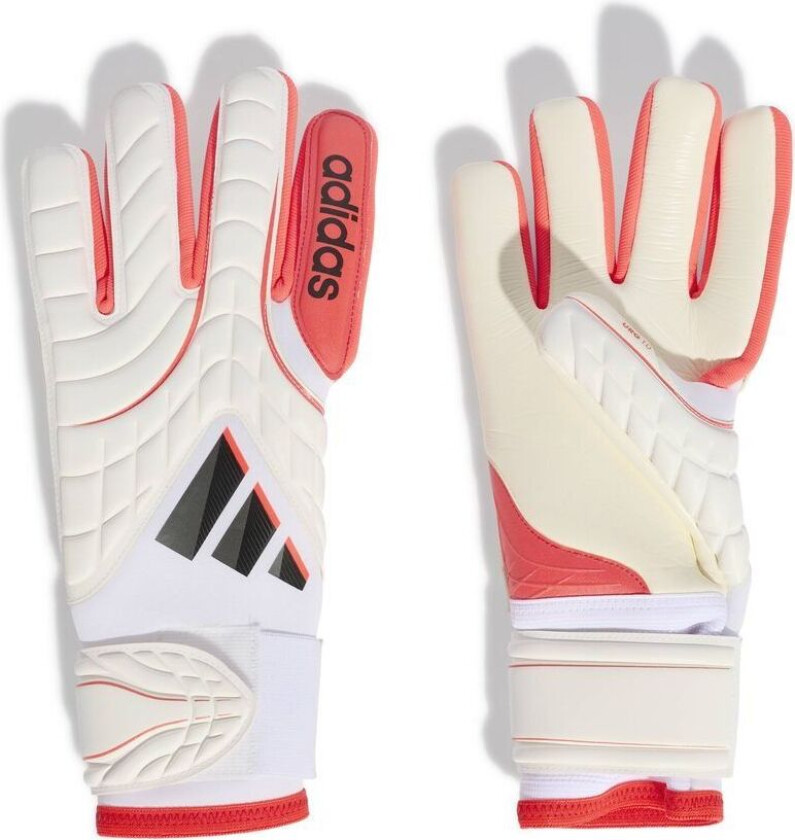 Keeperhansker Copa Pro Pc Born For Goals - Hvit/lucid Red/svart, størrelse 5½