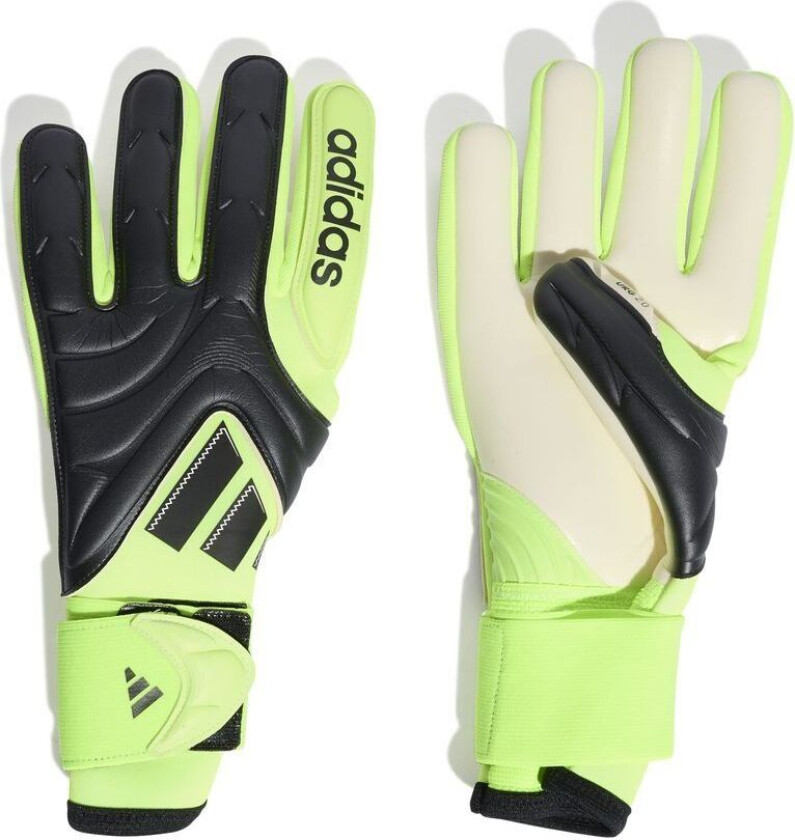 Keeperhansker Copa Pro Radiant Blaze - Svart/sitron, størrelse 5½