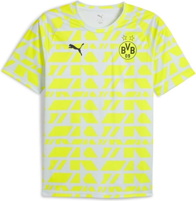 Dortmund Trenings T-Skjorte Pre Match - Gul/Sølv Metallisk - PUMA, størrelse Medium