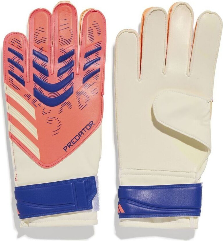 Keeperhansker Predator Training Coral Blaze - Oransje/hvit/lucid Blue, størrelse 10½
