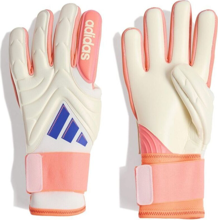 Keeperhansker Copa Pro Pc Coral Blaze - Off White/lucid Blue/oransje, størrelse 11