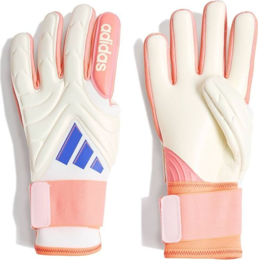 Keeperhansker Copa Pro Coral Blaze - Off White/lucid Blue/oransje, størrelse 8