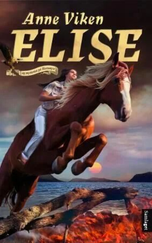 Elise og mysteriet på Hesteøya av Anne Viken