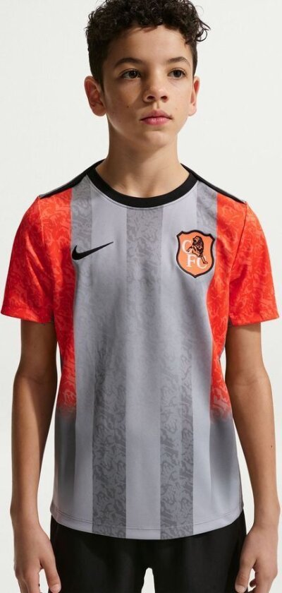 Chelsea Trenings T-Skjorte Dri-FIT Academy Pro Pre Match SE - Grå/Oransje/Blå Barn - Nike, størrelse XS: 122-128 cm