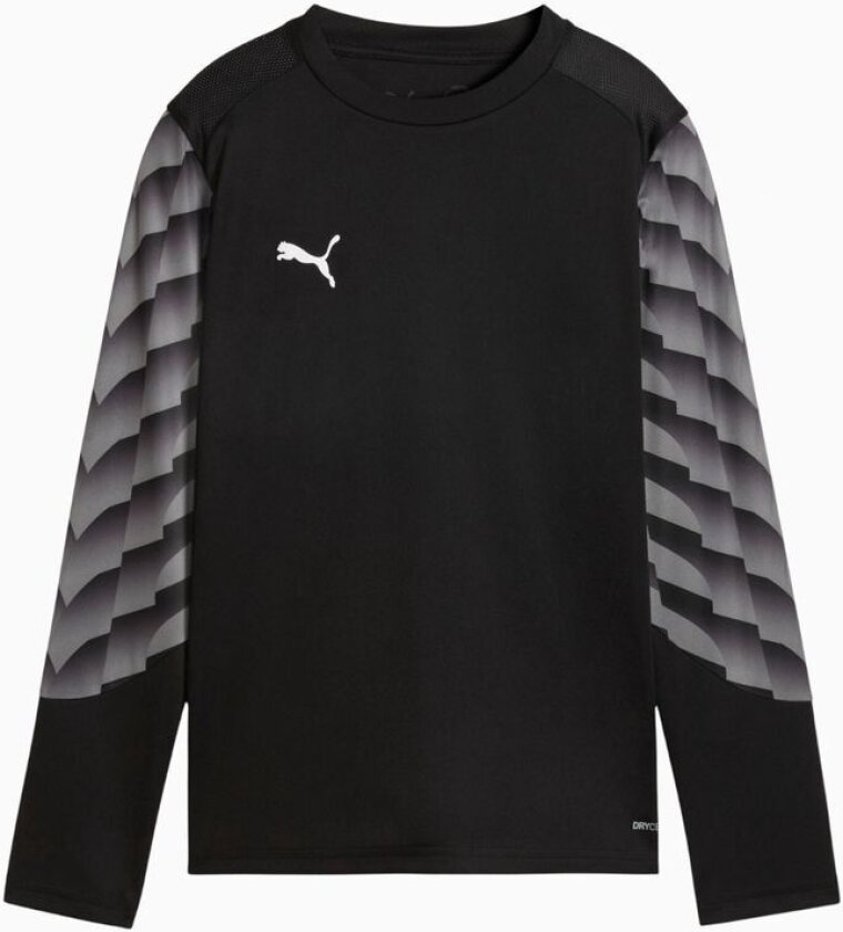 Teamliga26 Gk Jersey Ls PUMA Black-PUMA White-flat Medium Gray, størrelse Large