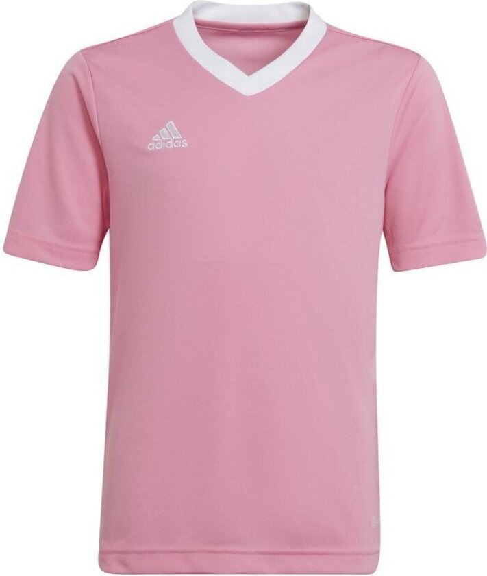 Trenings T-skjorte Entrada 22 - Rosa/hvit Barn, størrelse 164 cm