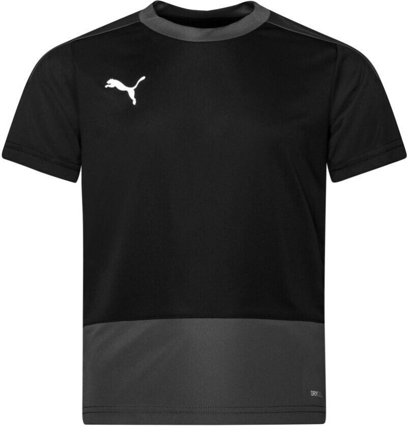 Trenings T-Skjorte teamGOAL 23 - Svart/Grå Barn, størrelse YM/140 cm