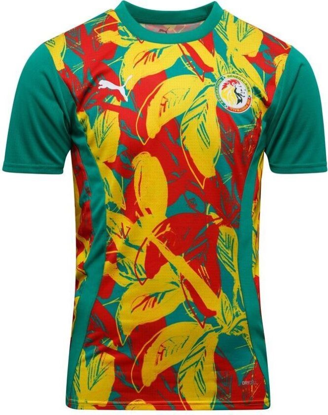 Senegal Trenings T-Skjorte Pre Match Africa Cup of Nations 2025 - Grønn/Raskere gul/PUMA Rød, størrelse Medium