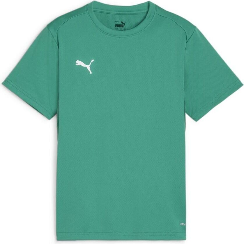Trenings T-Skjorte teamGOAL - Grønn/ White Barn, størrelse 128 cm