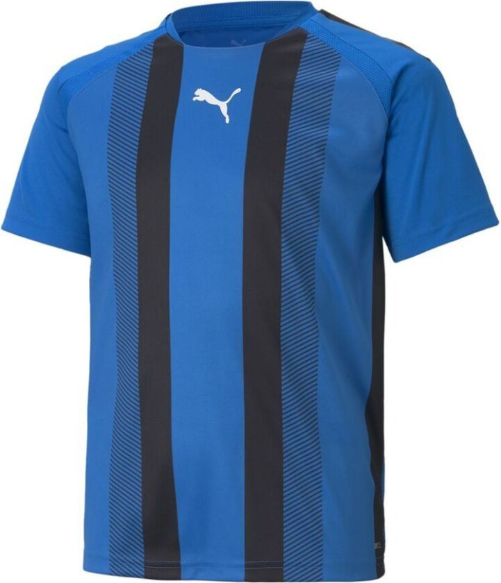Bilde av Spillerdrakt teamLIGA Striped - Blå/ Svart Barn, størrelse 140 cm