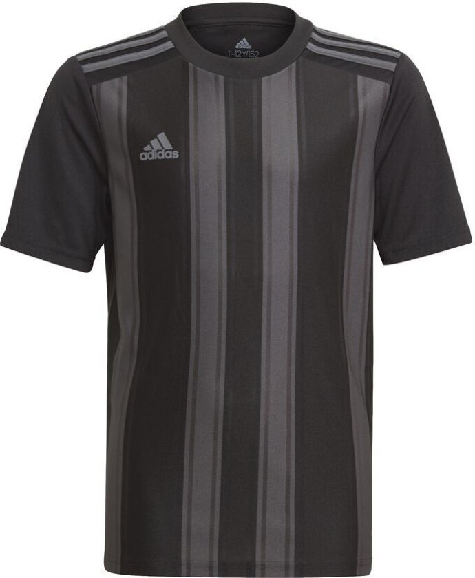 Spillerdrakt Striped 21 - Svart/Grå Barn, størrelse 116 cm