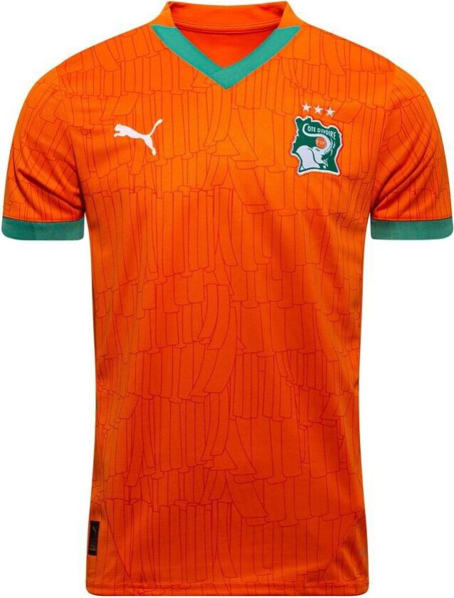 Elfenbenskysten Hjemmedrakt Africa Cup Of Nations 2025 - PUMA, størrelse Small