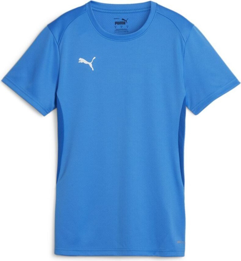 Teamgoal Jersey Wmn Electric Blue Lemonade-PUMA White, størrelse XX-Large