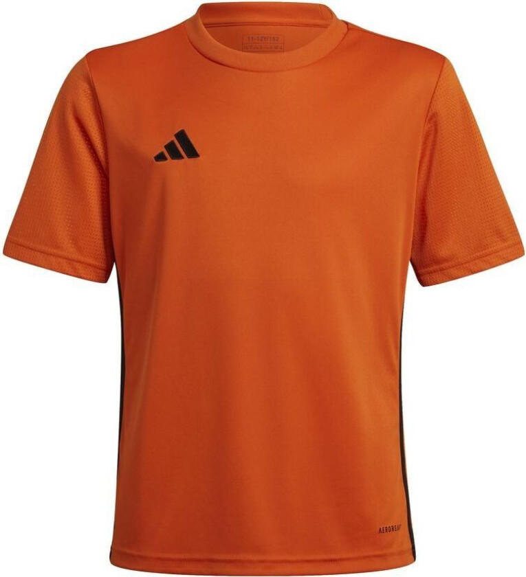 Bilde av Spillerdrakt Tabela 23 - Oransje/svart Barn, størrelse 164 cm