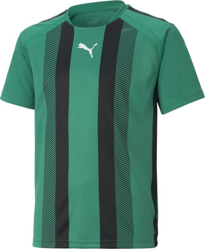 teamLIGA Striped Jersey - Grønn/ Svart - Barn, størrelse 116 cm