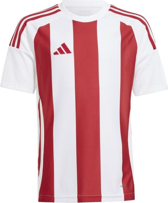 Spillerdrakt Striped 24 - Hvit/Rød Barn, størrelse 152 cm