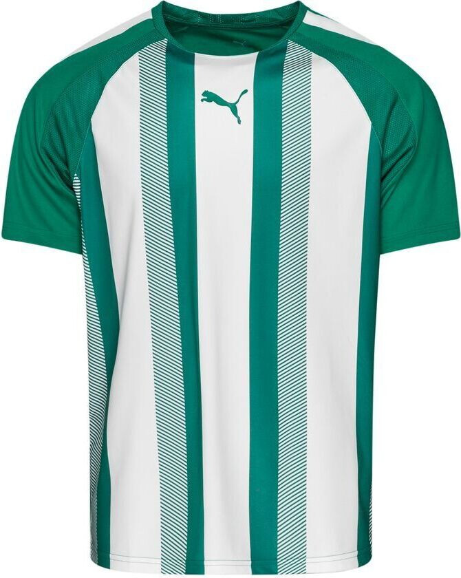 Spillerdrakt teamLIGA - Grønn/ White, størrelse X-Small