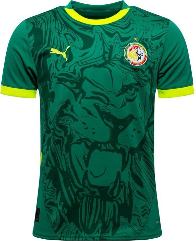 Senegal Bortedrakt Africa Cup Of Nations 2025 - PUMA, størrelse Medium