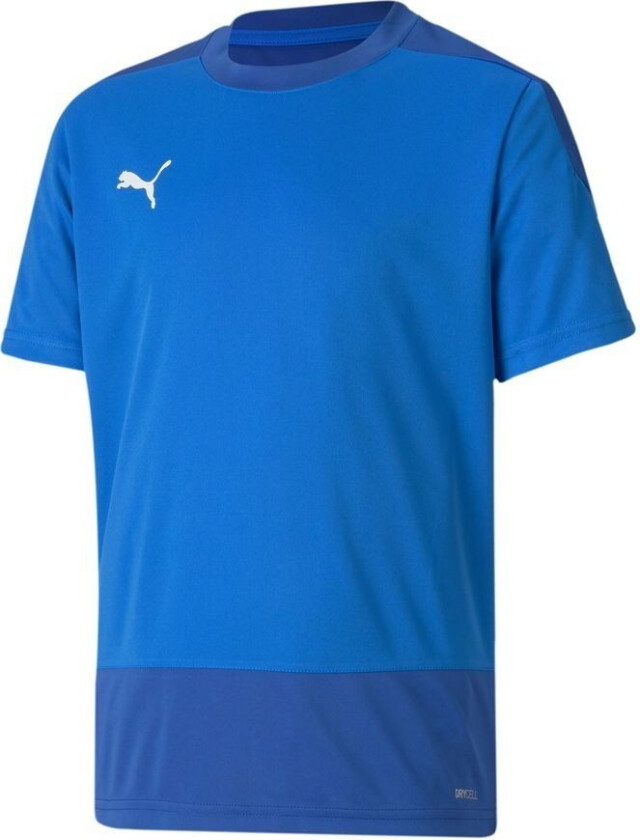 Trenings T-Skjorte teamGOAL 23 - Blå/Grå Barn, størrelse YL/152 cm
