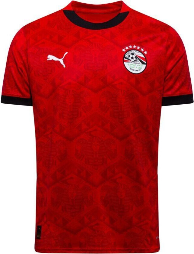 Egypt Hjemmedrakt Africa Cup Of Nations 2025 - PUMA, størrelse Medium