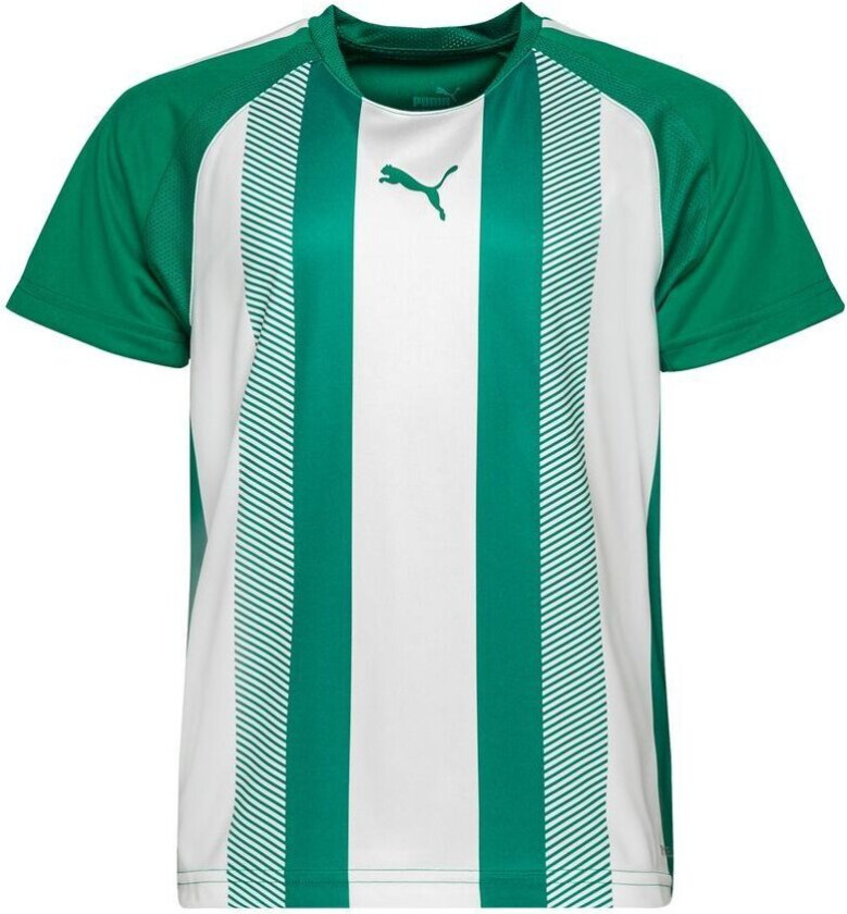 Spillerdrakt teamLIGA - Grønn/ White Barn, størrelse 116 cm