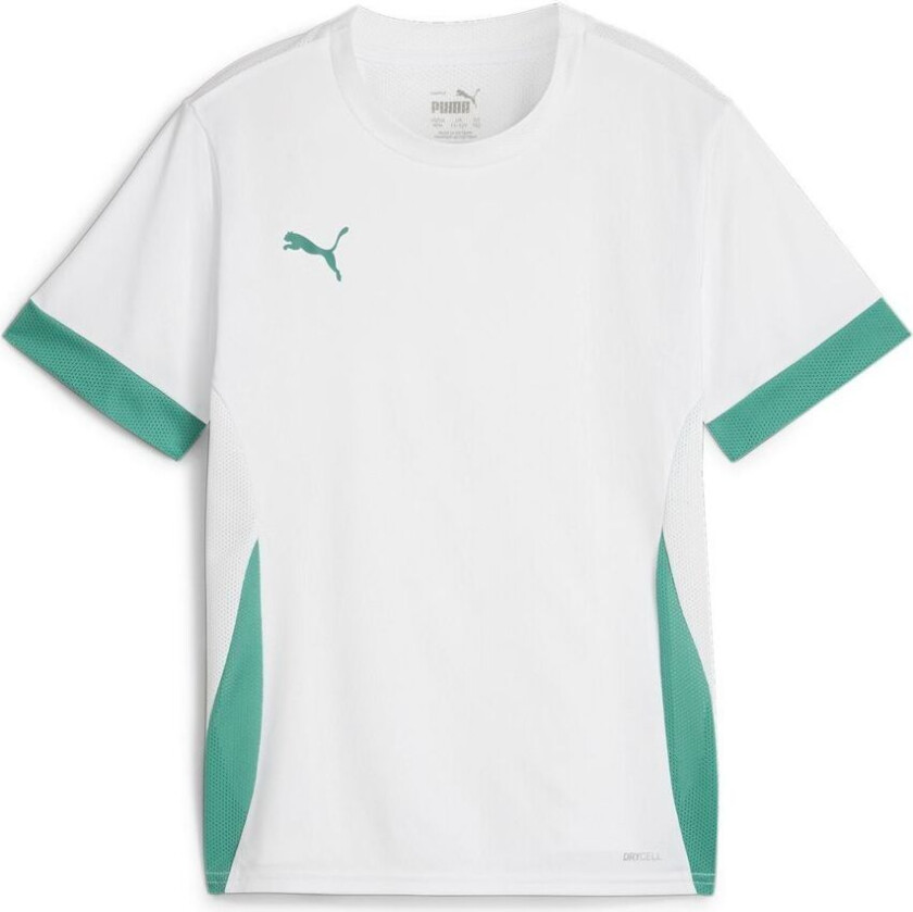 Teamgoal Matchday Jersey Jr PUMA White-sport Green-sport Green, størrelse 152 cm