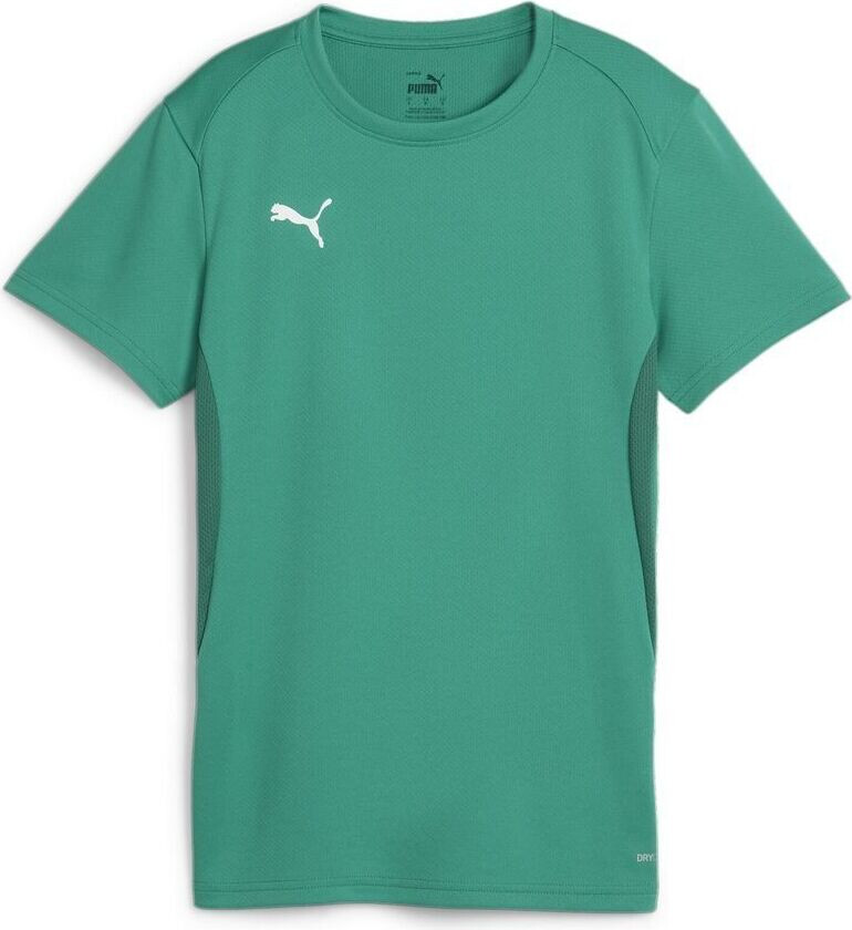 Teamgoal Jersey Wmn Sport Green-PUMA White, størrelse Medium