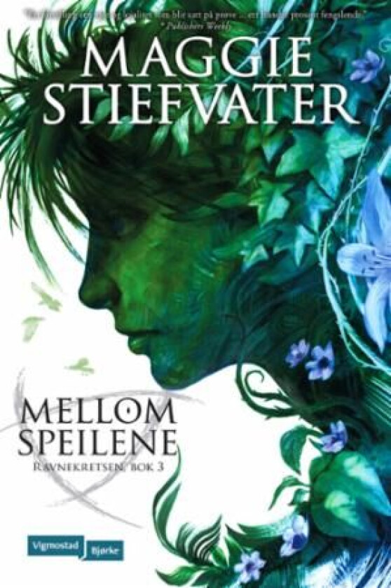 Mellom speilene av Maggie Stiefvater