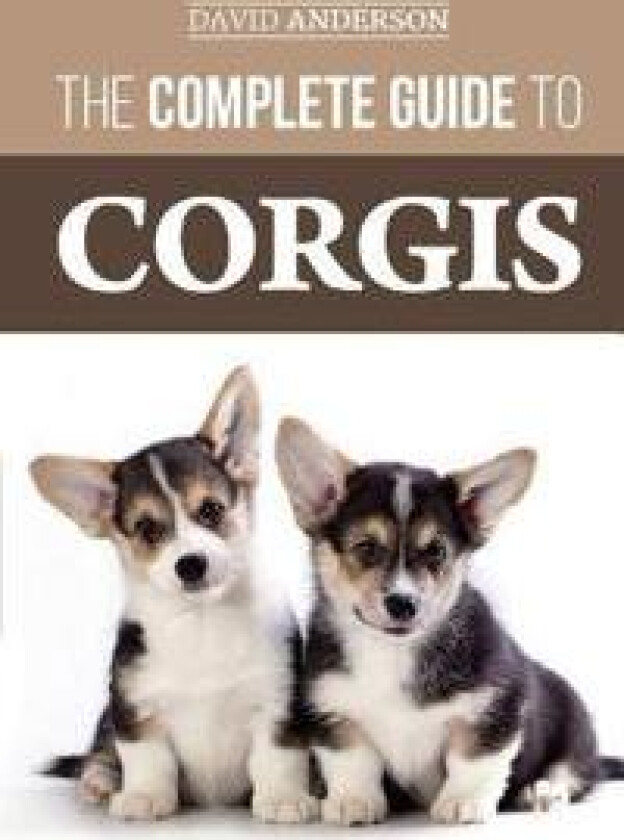 The Complete Guide to Corgis