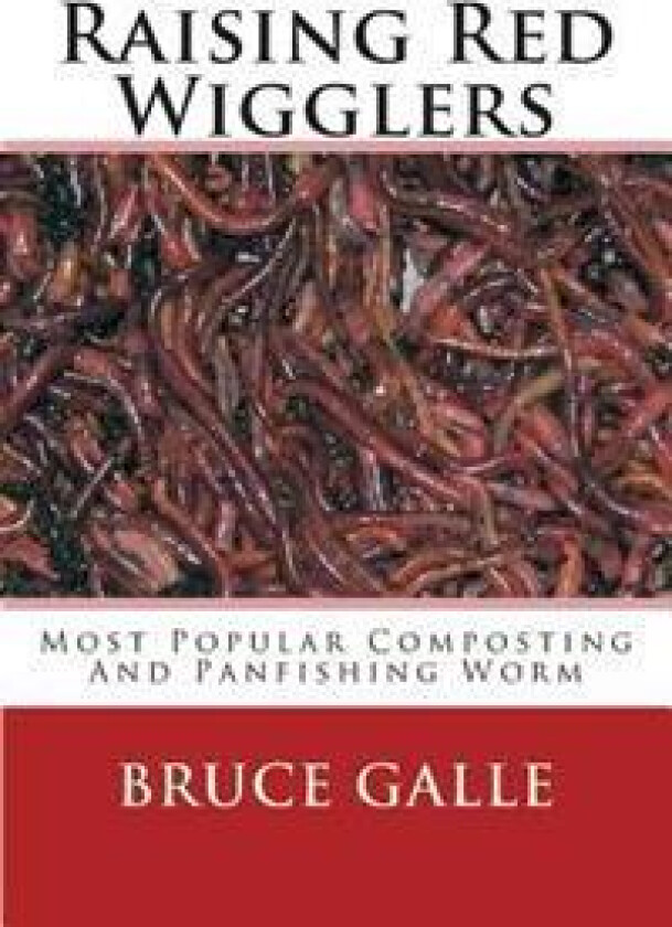 Raising Red Wigglers: Most Popular Composting and Panfishing Worm