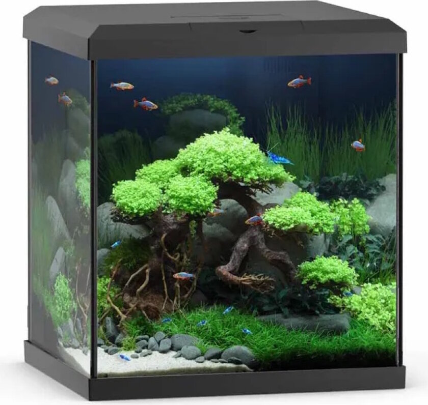 Juwel Vio Cube akvarium 54L - 41x36x47cm - Hvit