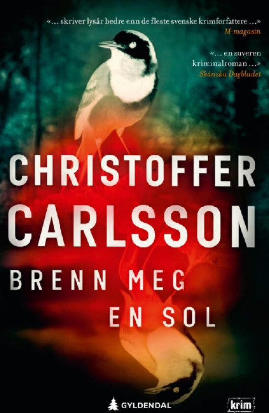 Brenn meg en sol av Christoffer Carlsson