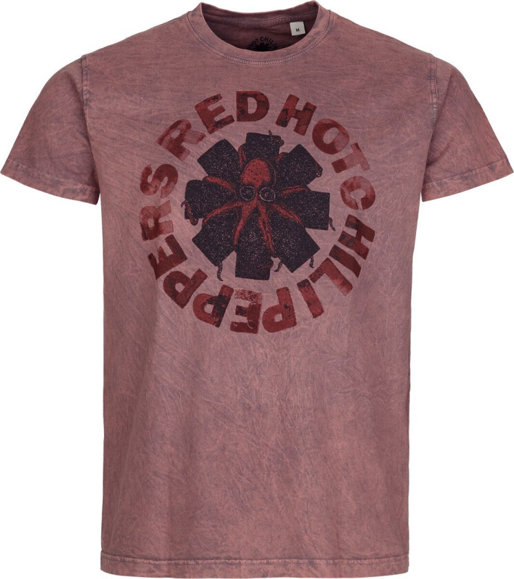 T-skjorte - Squid - S til 4XL - Herrer - korall