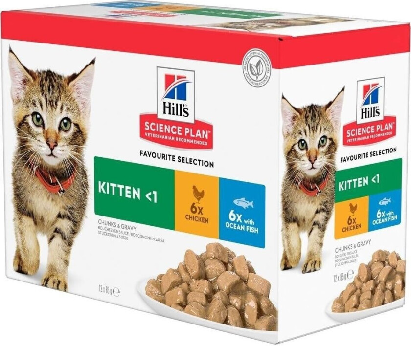 Hill's Science Plan Kitten Chicken & Ocean Fish 12x85 g
