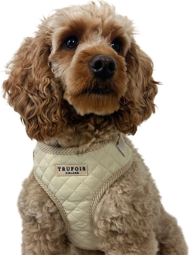 Lite Hundesele Beige