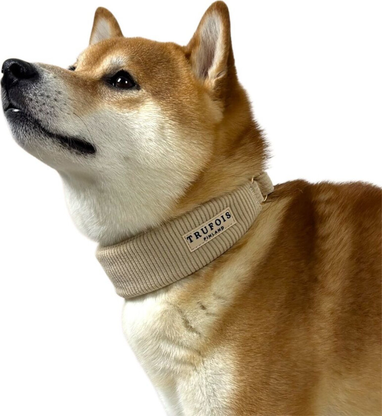 Brett Hundehalsbånd Halvstrup Beige