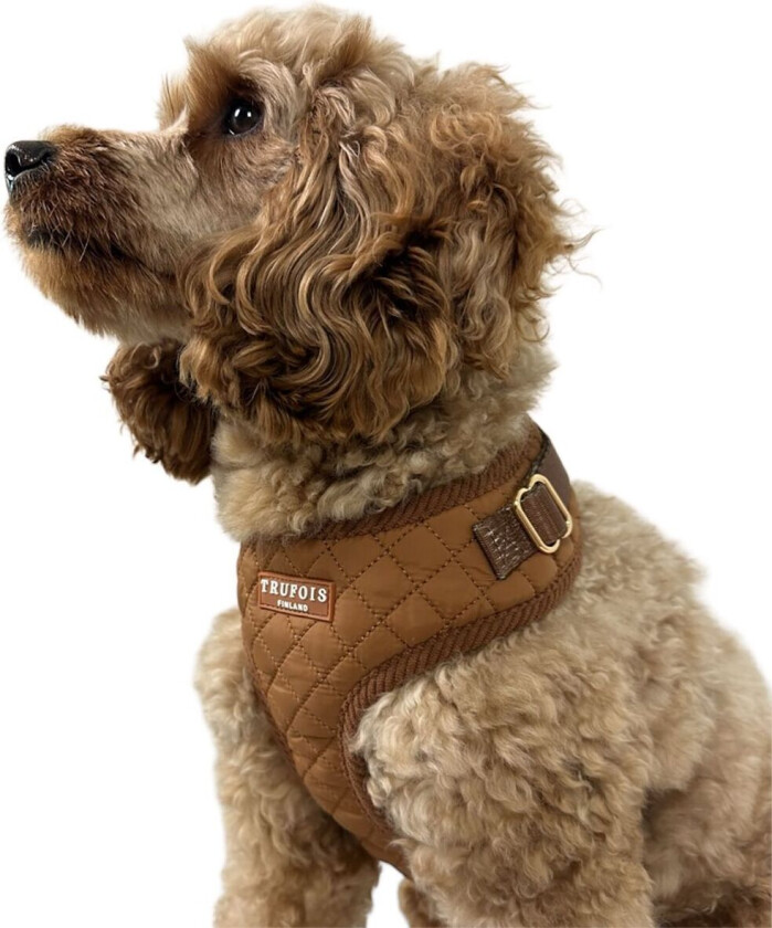 Lite Hundesele Brun