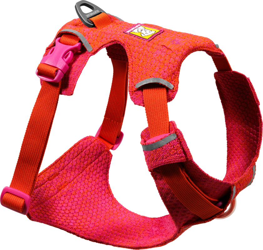 Front Range Flex Harness Rose Violet