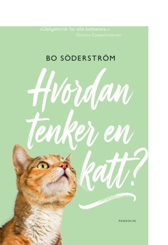 Slik tenker en katt
