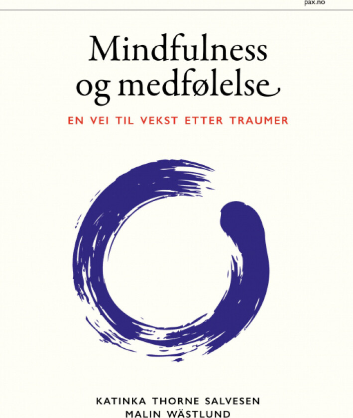 Mindfulness og medfølelse av Katinka Thorne Salvesen, Malin Wästlund