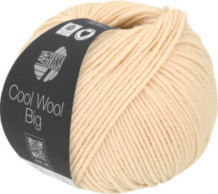 Cool Wool Big Garn 1016 Skal