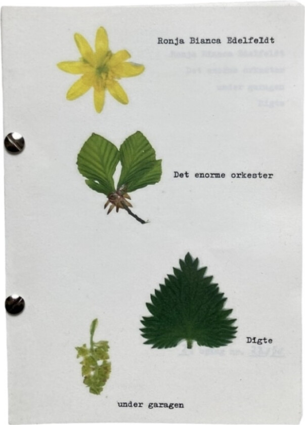 Det Store Orkesteret | Ronja Edelfeldt | Språk: Dansk