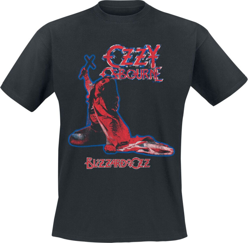 T-skjorte - Blizzard Tribute - S til 5XL - Herrer - svart