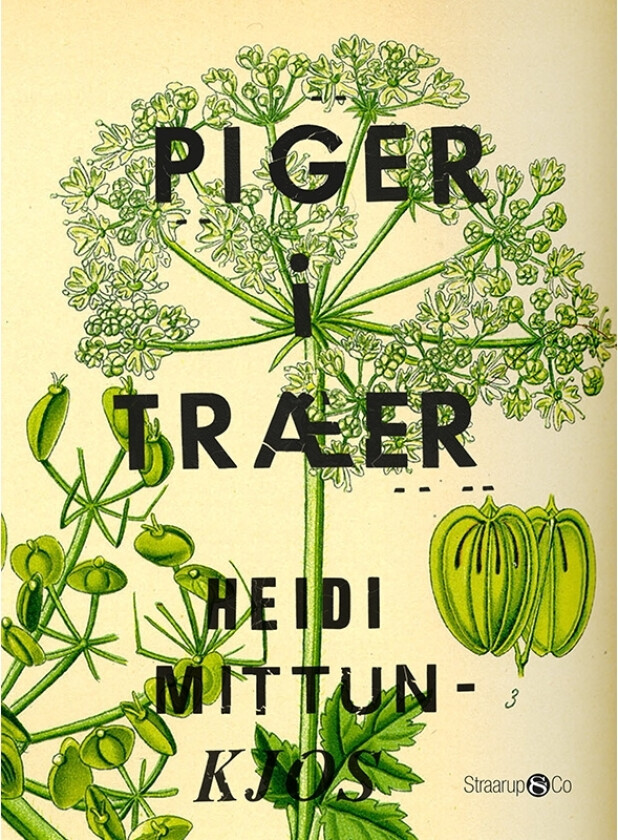 Jenter og trær | Heidi Mittun-Kjos | Språk: Dansk