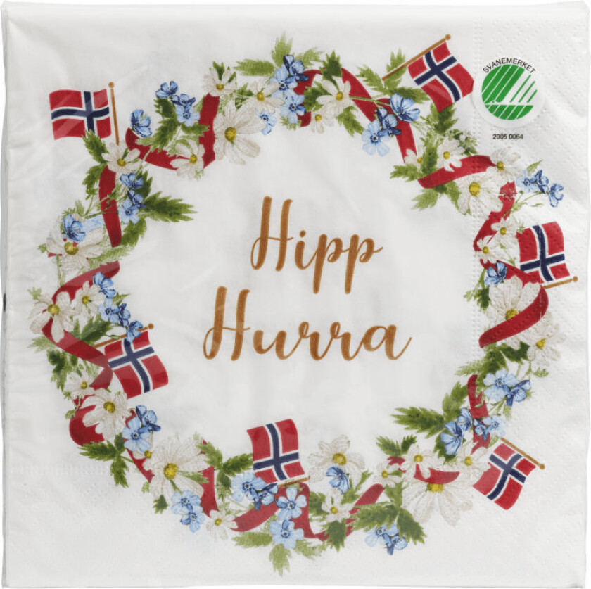 Serviett 17.Mai Trelags lunsjserviett med design, 33x33cm, 20 stk. Svanemerket. Produktet er laget av FSC®-sertifisert materiale og andre kontrollerte kilder.